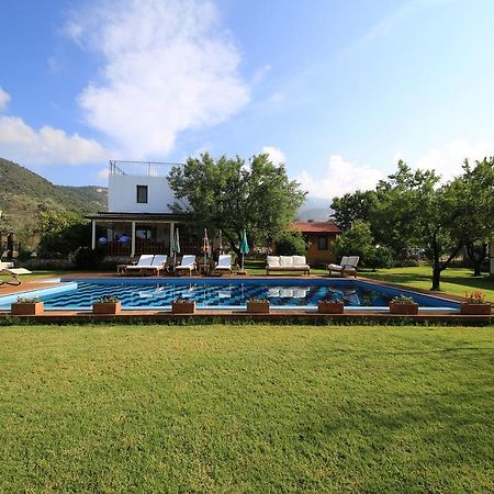 Bal Badem Bungalow 닷차 외부 사진