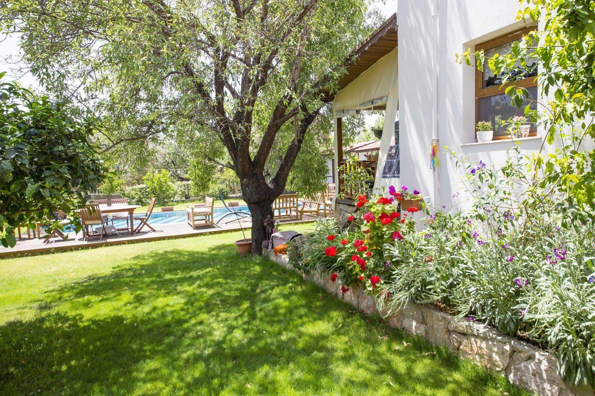 Bal Badem Bungalow 닷차 외부 사진